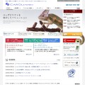 キャロルシステム株式会社